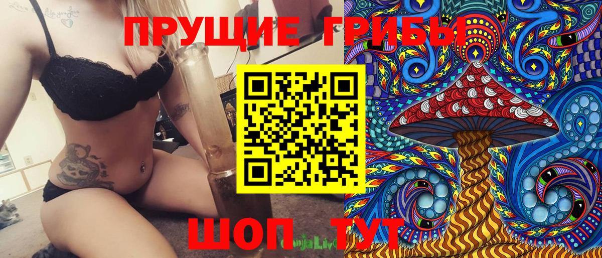 Галлюциногенные грибы GOLDEN TEACHER  Псилоцибиновые грибы GOLDEN TEACHER  Богородск  Вход с VPN 
